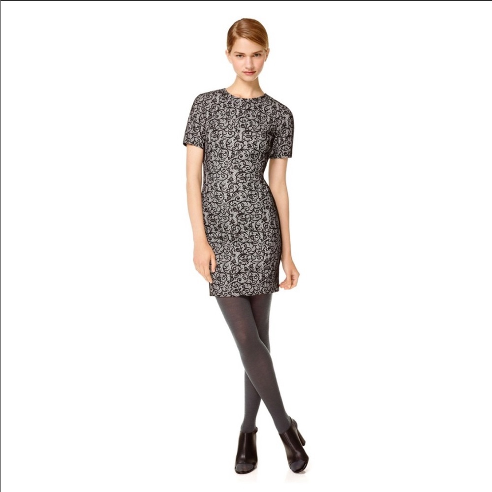 Aritzia Wilfred Mignonne Lace Dress